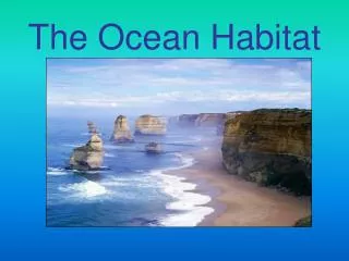 The Ocean Habitat