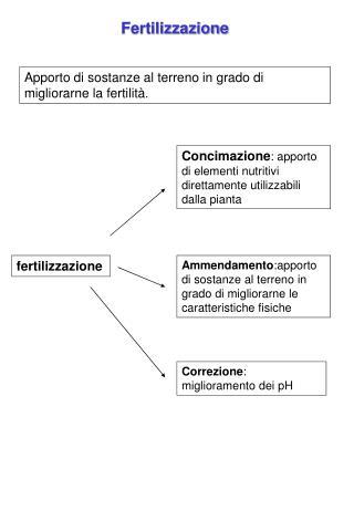 Fertilizzazione