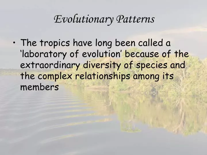 evolutionary patterns