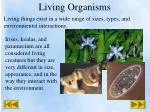 Living Organisms - slide 1
