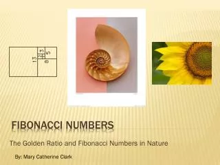Fibonacci numbers