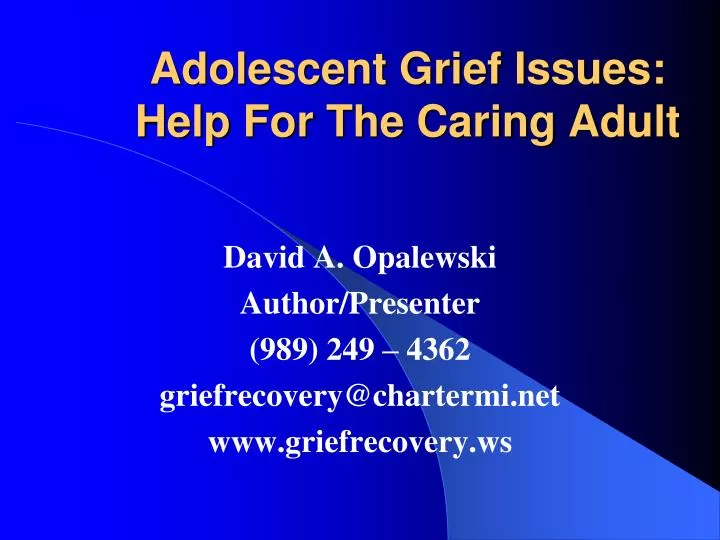 adolescent grief issues help for the caring adult
