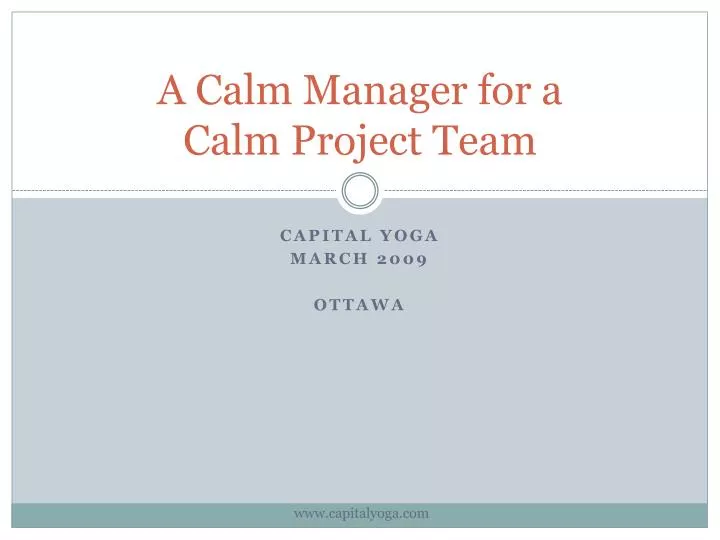 a calm manager for a calm project team