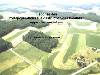 Réponse des métapopulations à la destruction des habitats : approche spatialisée Alexandre Robert, MNHN
