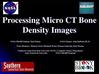 Processing Micro CT Bone Density Images