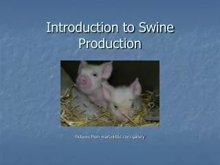 Introduction to Swine Production