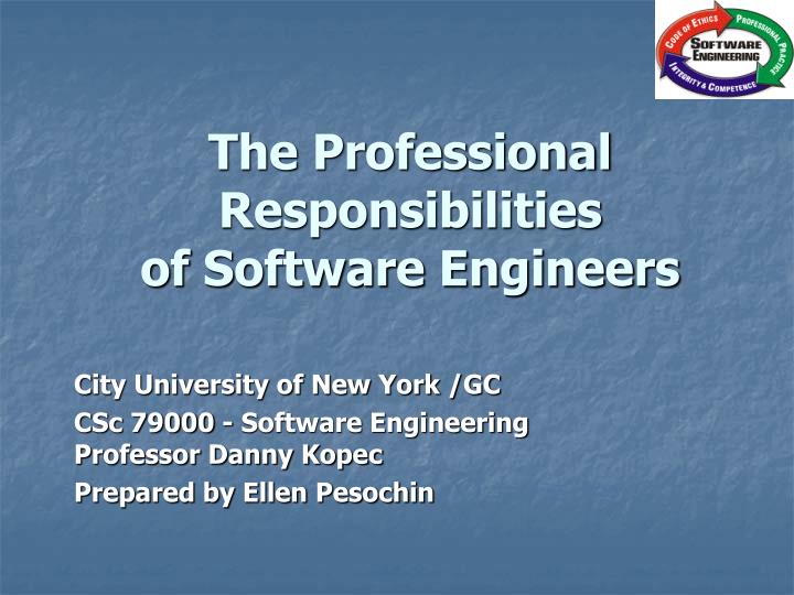 the professional responsibilities of software engineers