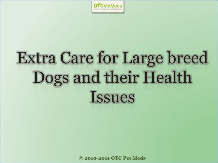 extra care for large breed dogs and their health i ssues
