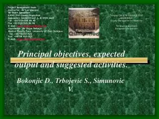 Principal objectives, expected output and suggested activities.