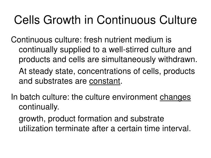 cells growth in continuous culture