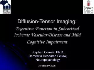 Diffusion-Tensor Imaging: Executive Function in Subcortical Ischemic Vascular Disease and Mild Cognitive Impairment