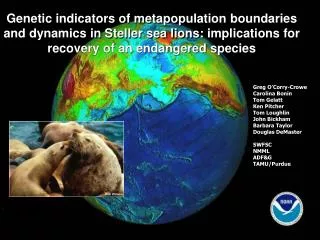Genetic indicators of metapopulation boundaries and dynamics in Steller sea lions: implications for recovery of an endan
