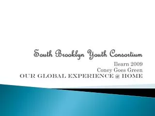 South Brooklyn Youth Consortium