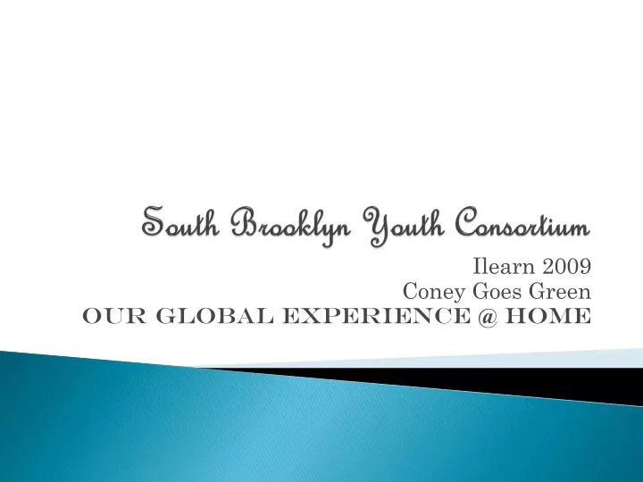 south brooklyn youth consortium
