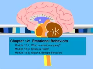 Chapter 12: Emotional Behaviors Module 12.1: What is emotion anyway? Module 12.2: Stress &amp; Health Module 12.3: A