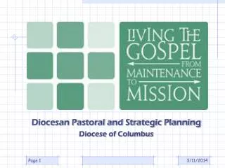 Diocesan Pastoral and Strategic Planning Diocese of Columbus