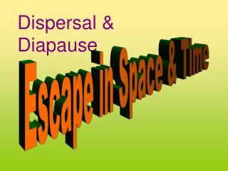 Dispersal &amp; Diapause