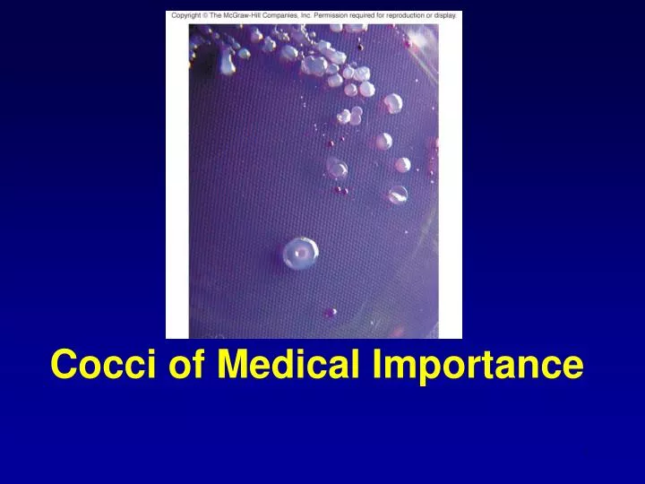 cocci of medical importance