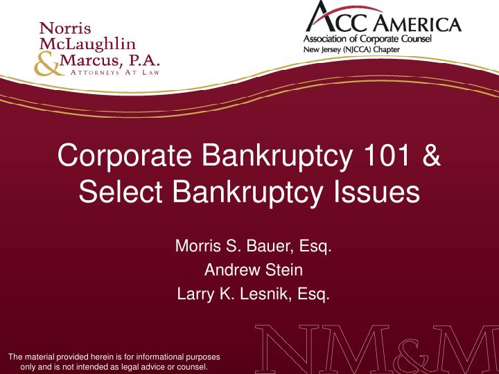 corporate bankruptcy 101 select bankruptcy issues