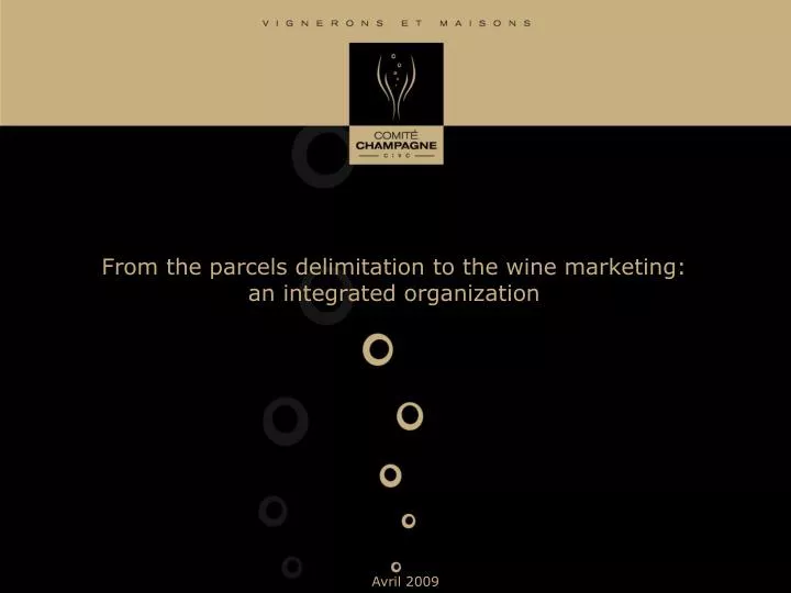 from the parcels delimitation to the wine marketing an integrated organization