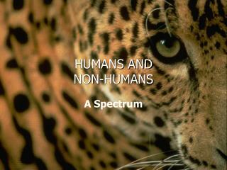 HUMANS AND NON-HUMANS
