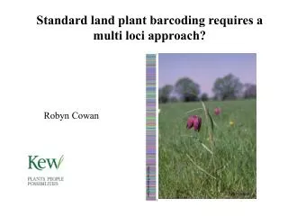 Standard land plant barcoding requires a multi loci approach?