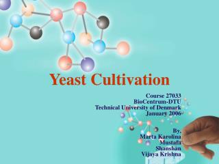 Yeast Cultivation