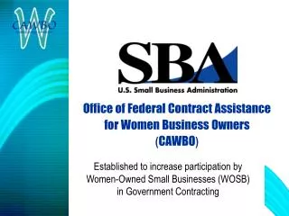 Office of Federal Contract Assistance for Women Business Owners ( CAWBO )
