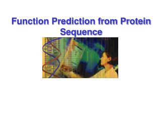 Function Prediction from Protein Sequence