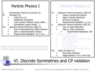 VI. Discrete Symmetries and CP violation