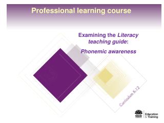 Professional learning course
