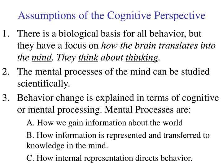 assumptions of the cognitive perspective