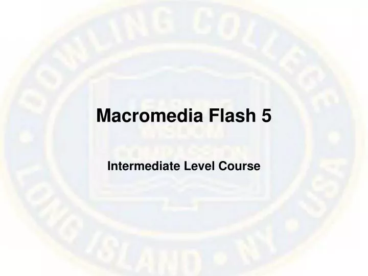 macromedia flash 5