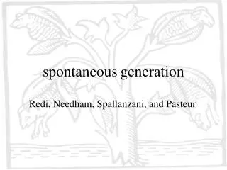 spontaneous generation