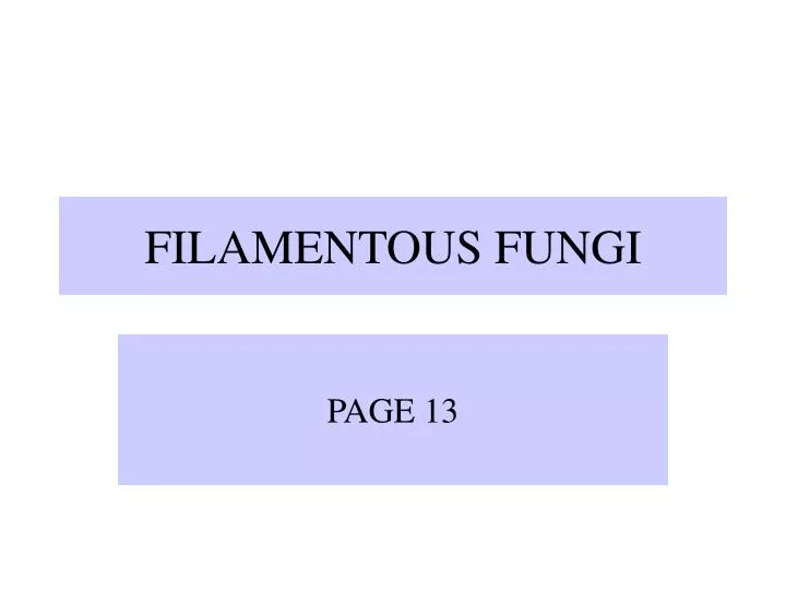 filamentous fungi