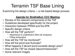 Terramin TSF Base Lining