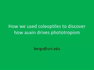 How we used coleoptiles to discover how auxin drives phototropism