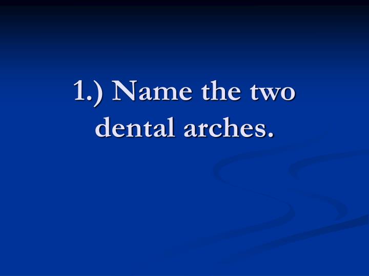 1 name the two dental arches