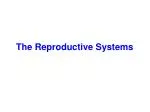 The Reproductive Systems - slide 1