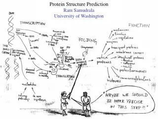 Protein Structure Prediction Ram Samudrala University of Washington