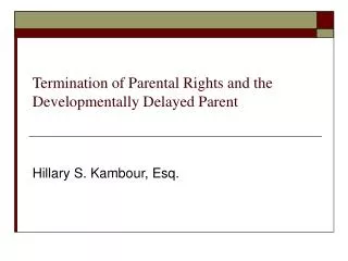 Termination of Parental Rights and the Developmentally Delayed Parent