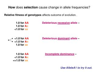 How does selection cause change in allele frequencies?