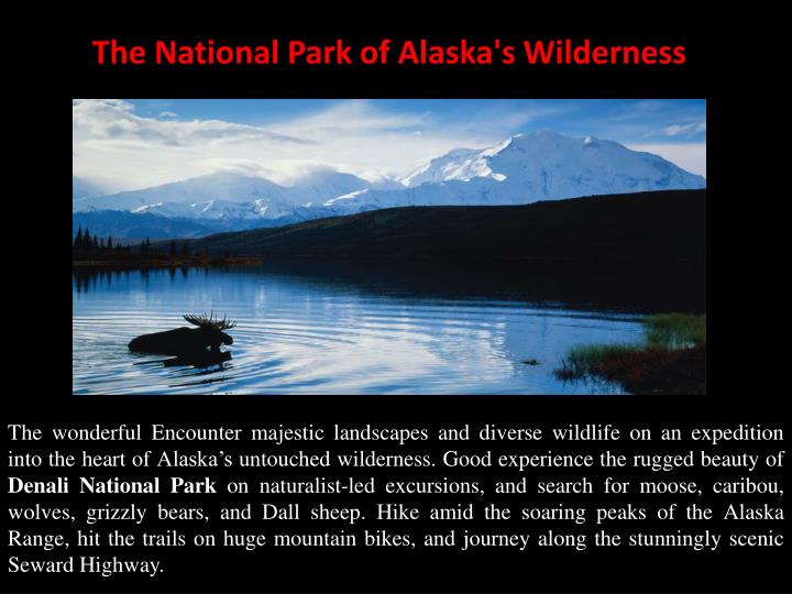the national park of alaska s wilderness