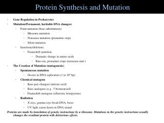 Protein Synthesis and Mutation