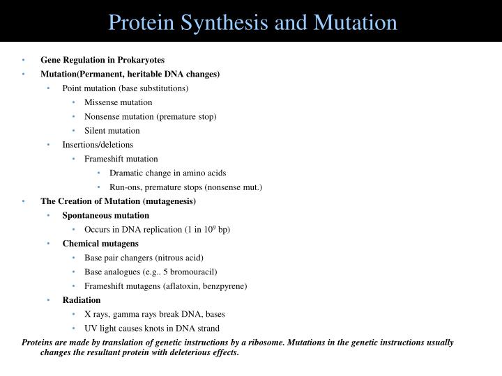 protein synthesis and mutation