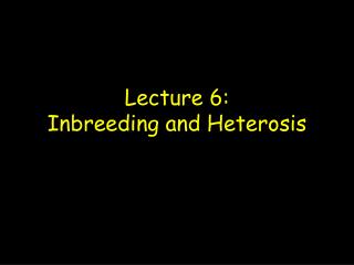 Lecture 6: Inbreeding and Heterosis