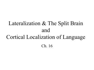Lateralization &amp; The Split Brain and Cortical Localization of Language