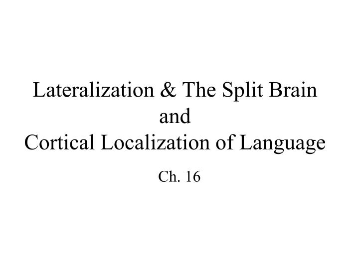 lateralization the split brain and cortical localization of language