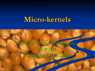 Micro-kernels