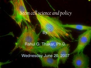 Stem cell science and policy